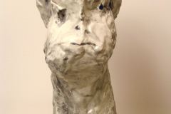 b Head 19, Jane, 2004