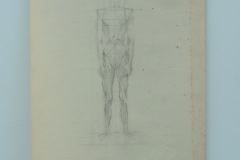 Life Figure Study, Pencil 22 x 15", 1958.