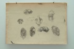 S8.11a Skull Study, pencil, 15 x 22, signed G. Evans.jpg